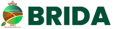BRIDA SARLU Logo